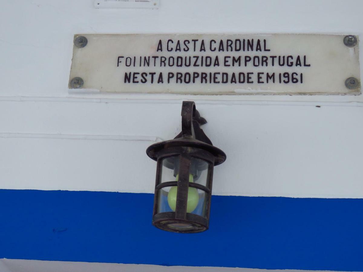 Vale Do Boto-Quinta Com 3 Casas Villa Кастро Марим Екстериор снимка