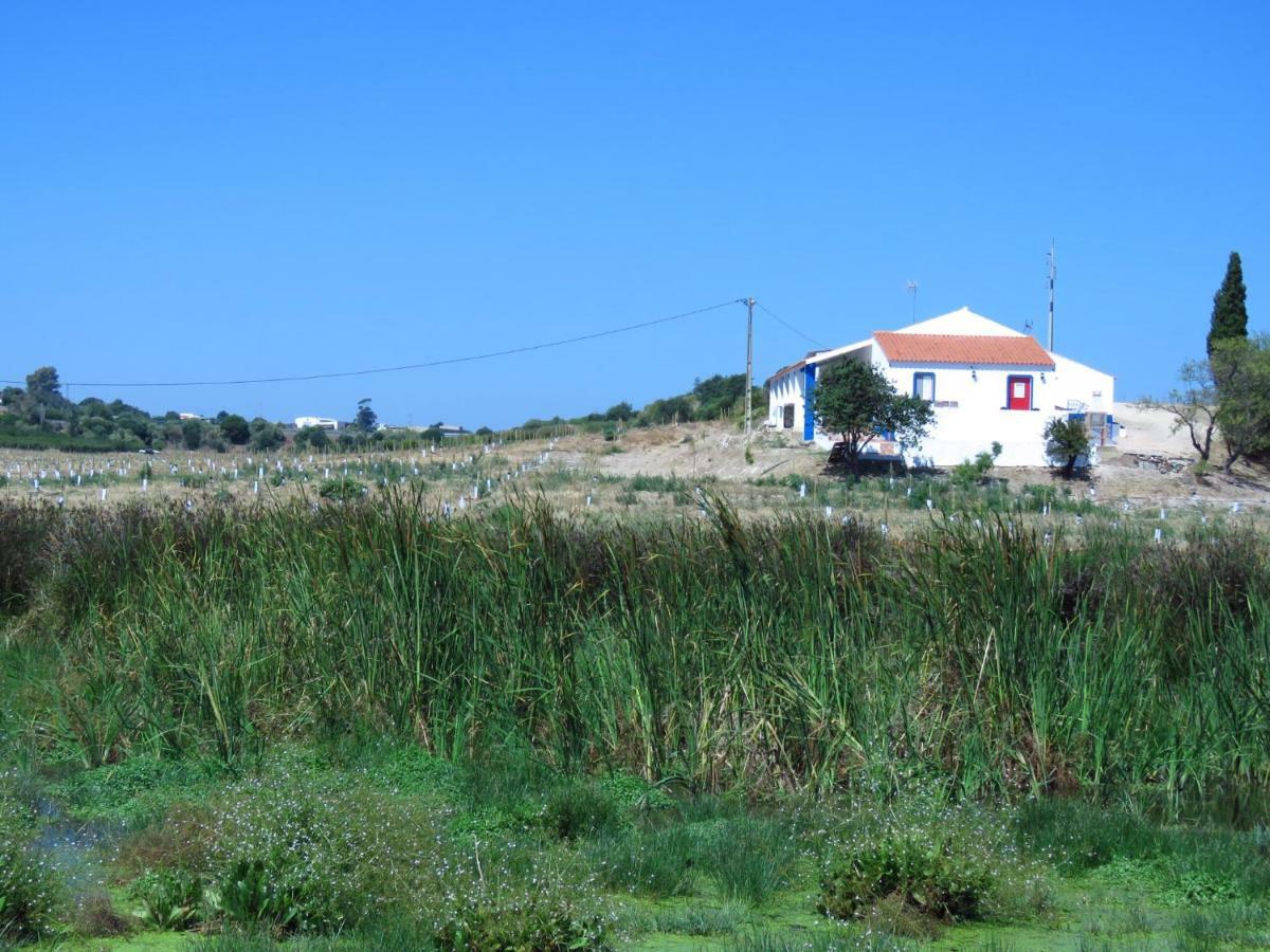 Vale Do Boto-Quinta Com 3 Casas Villa Кастро Марим Екстериор снимка